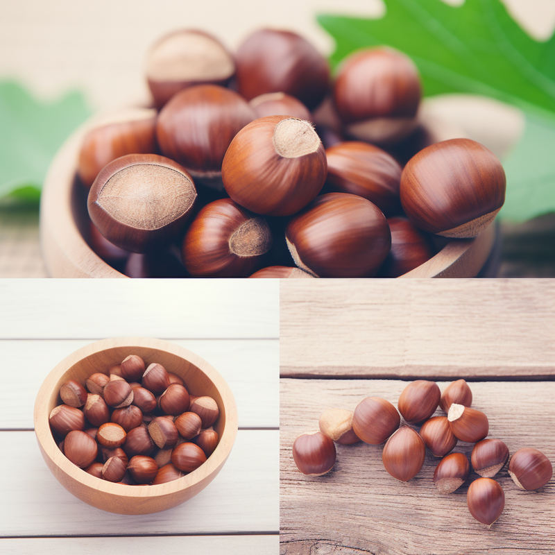 Hazelnuts Throughout the Ages: A Historical Timeline