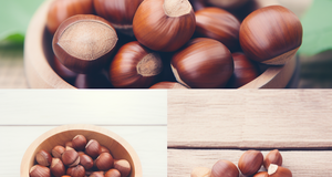 Hazelnuts Throughout the Ages: A Historical Timeline